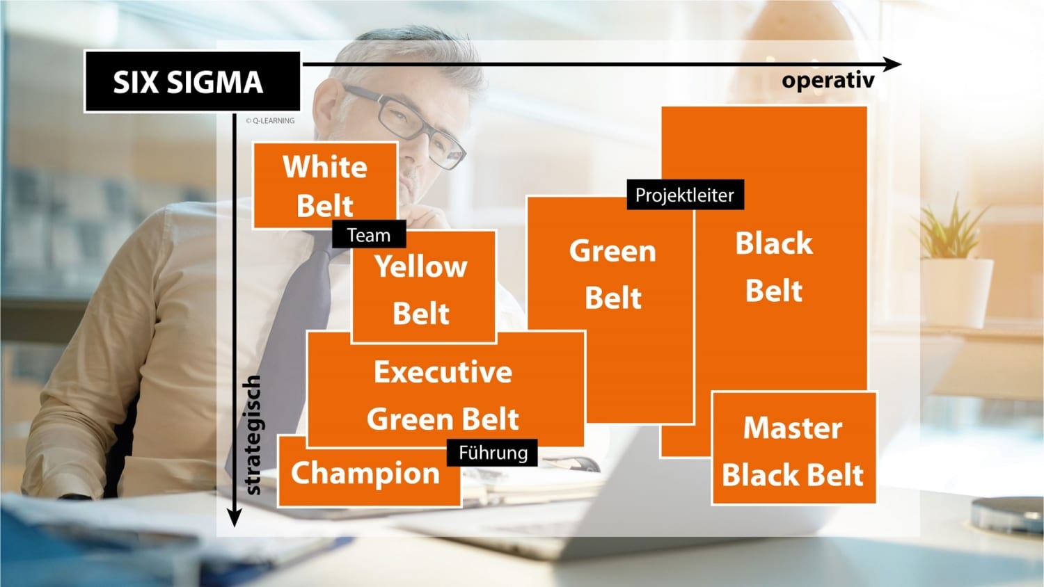 Six Sigma Rollen Verantwortlichkeiten Und Aufgaben 5899